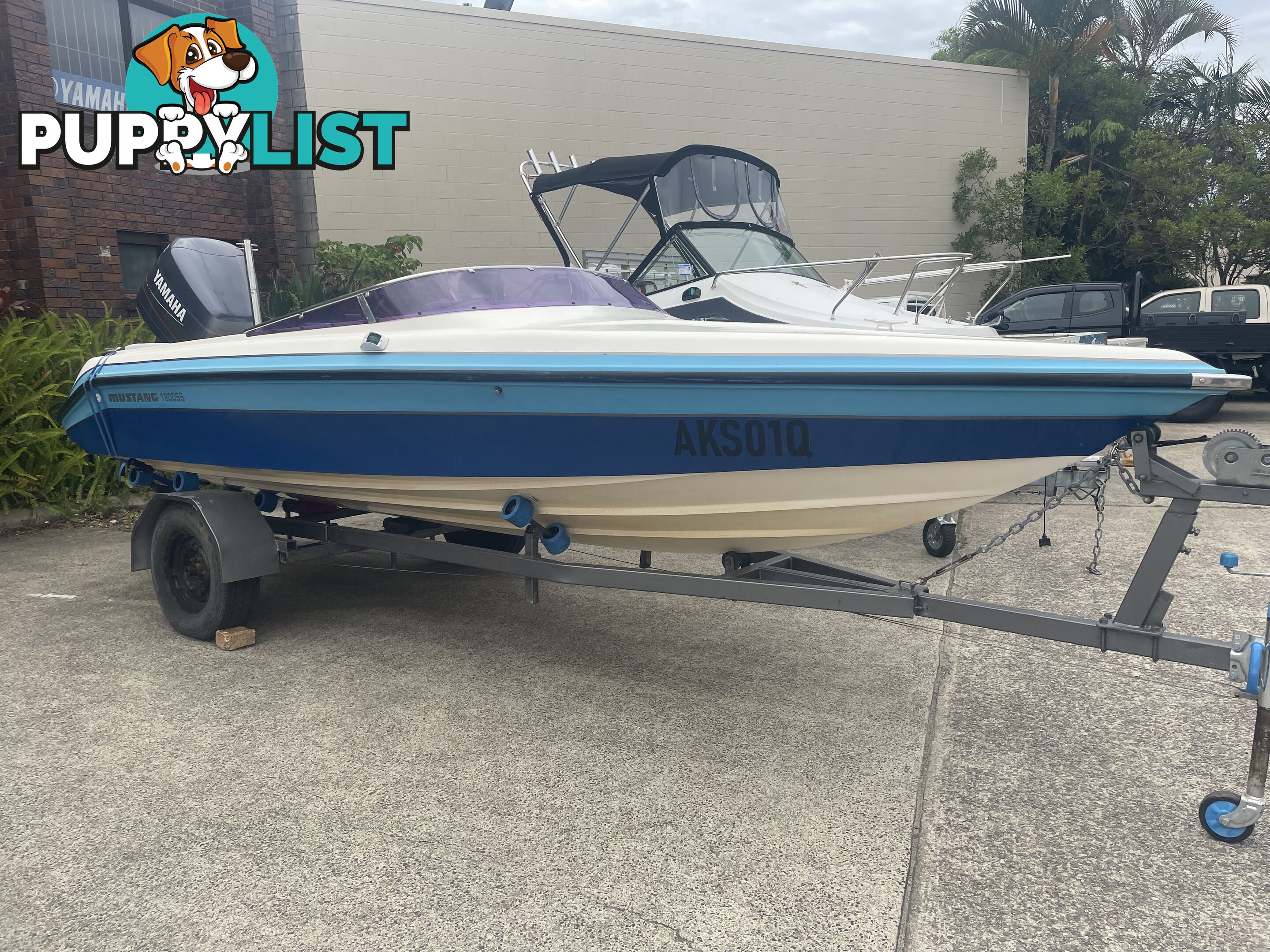 1992 Mustang Ski Boat - Project Boat