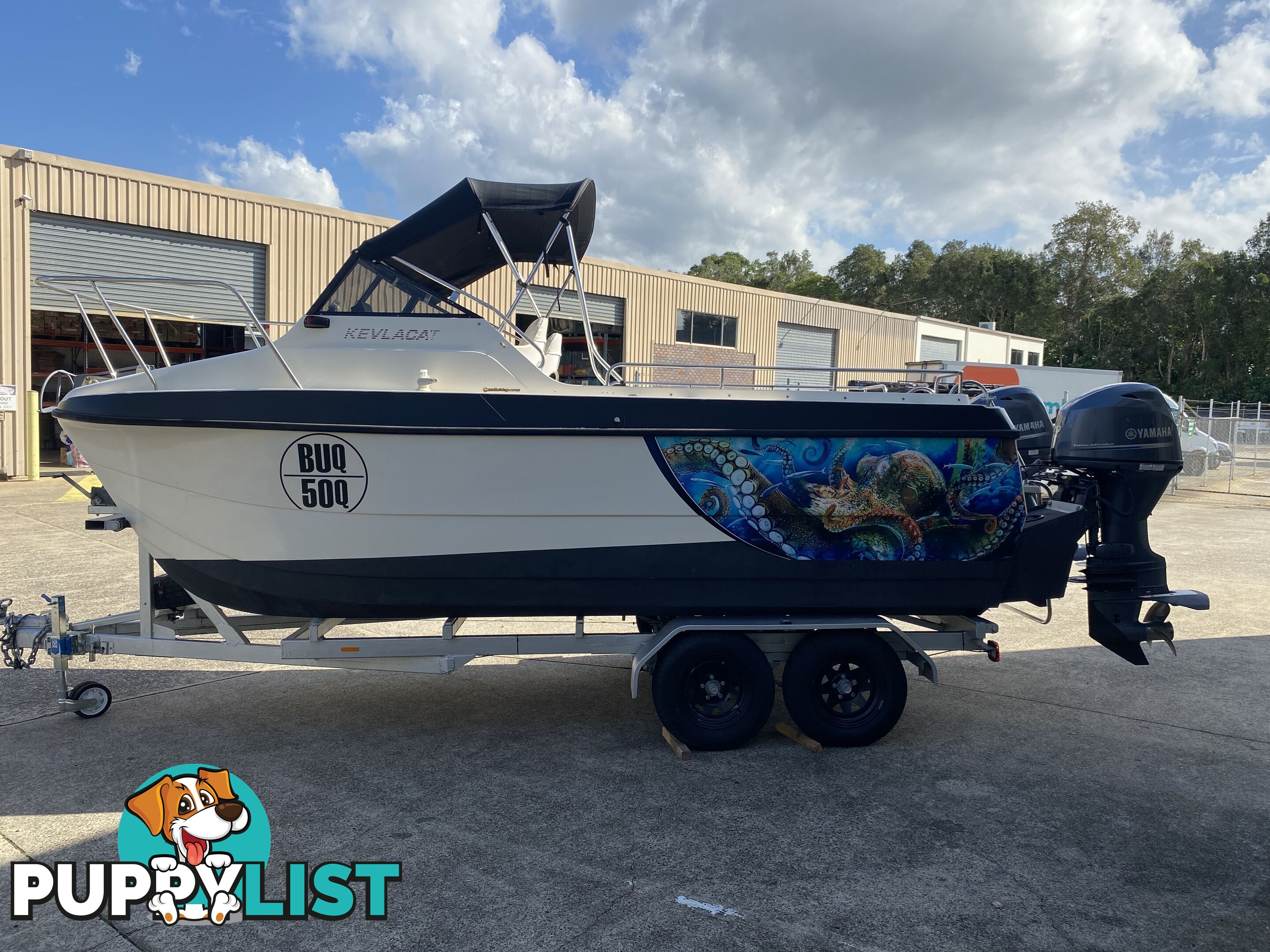 1990 Kevlacat 5.2 pro sport