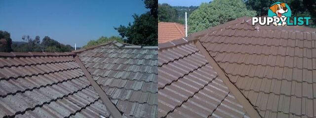 Roof Restoration and Repairs, Noble Park, VIC