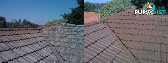 Roof Restoration and Repairs, Keysborough, VIC