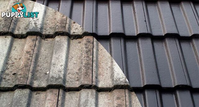 Roof Restoration and Repairs, Keysborough, VIC