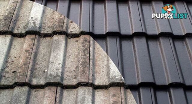 Roof Restoration and Repairs, Doveton, VIC