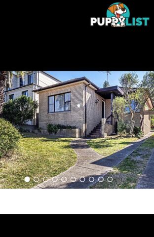 House for rent close to the beaches, UNSW and Sydney CBD