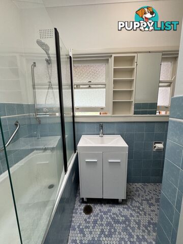 House for rent close to the beaches, UNSW and Sydney CBD