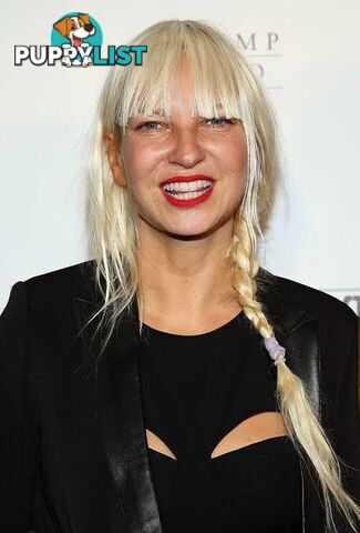 signup now to perform with Sia Kate Isobelle