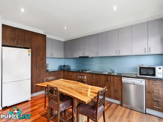 6/220 Abbotsford Street North Melbourne VIC 3051