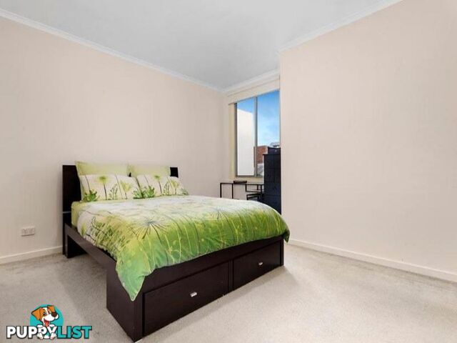 6/220 Abbotsford Street North Melbourne VIC 3051