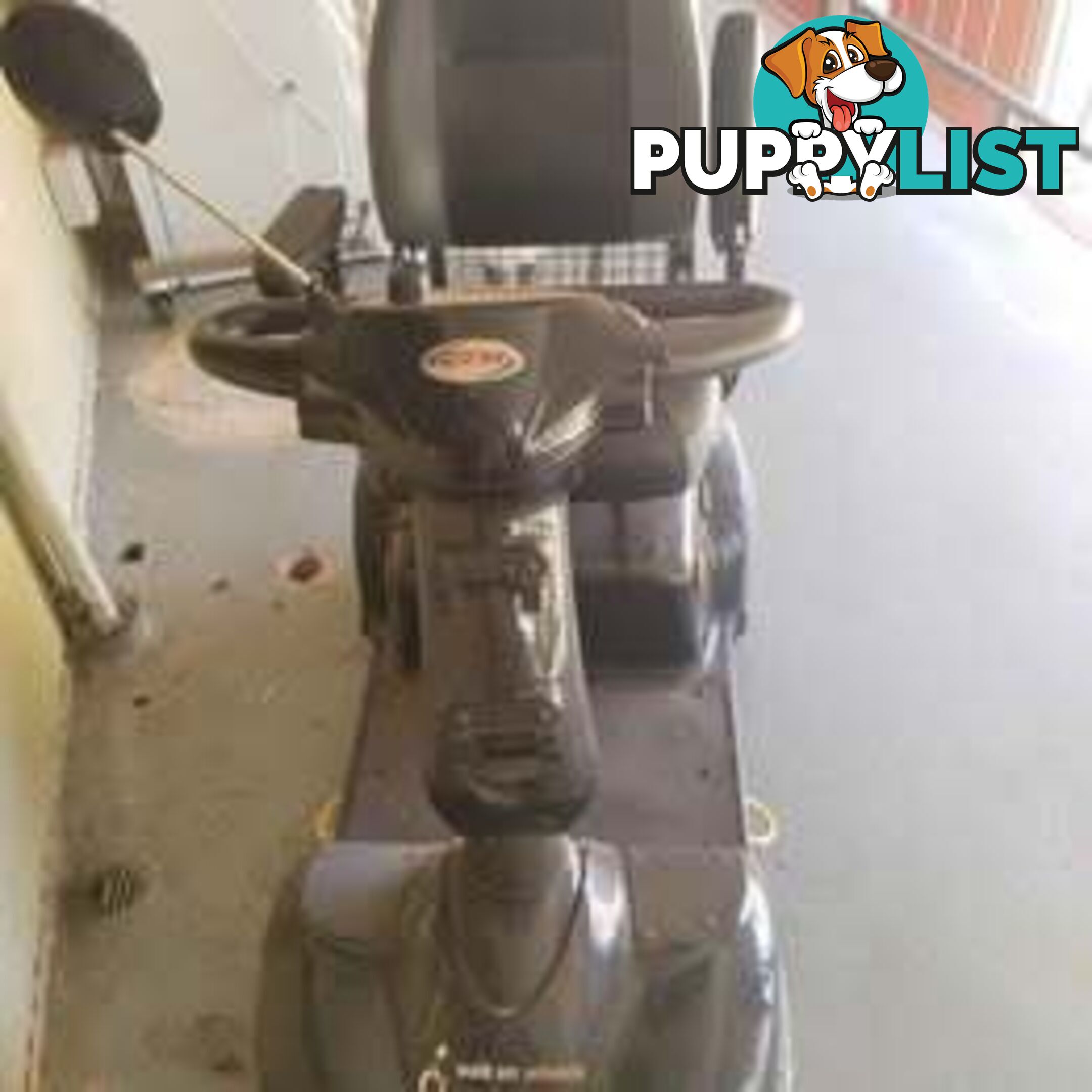 Gopher / Mobility Scooter