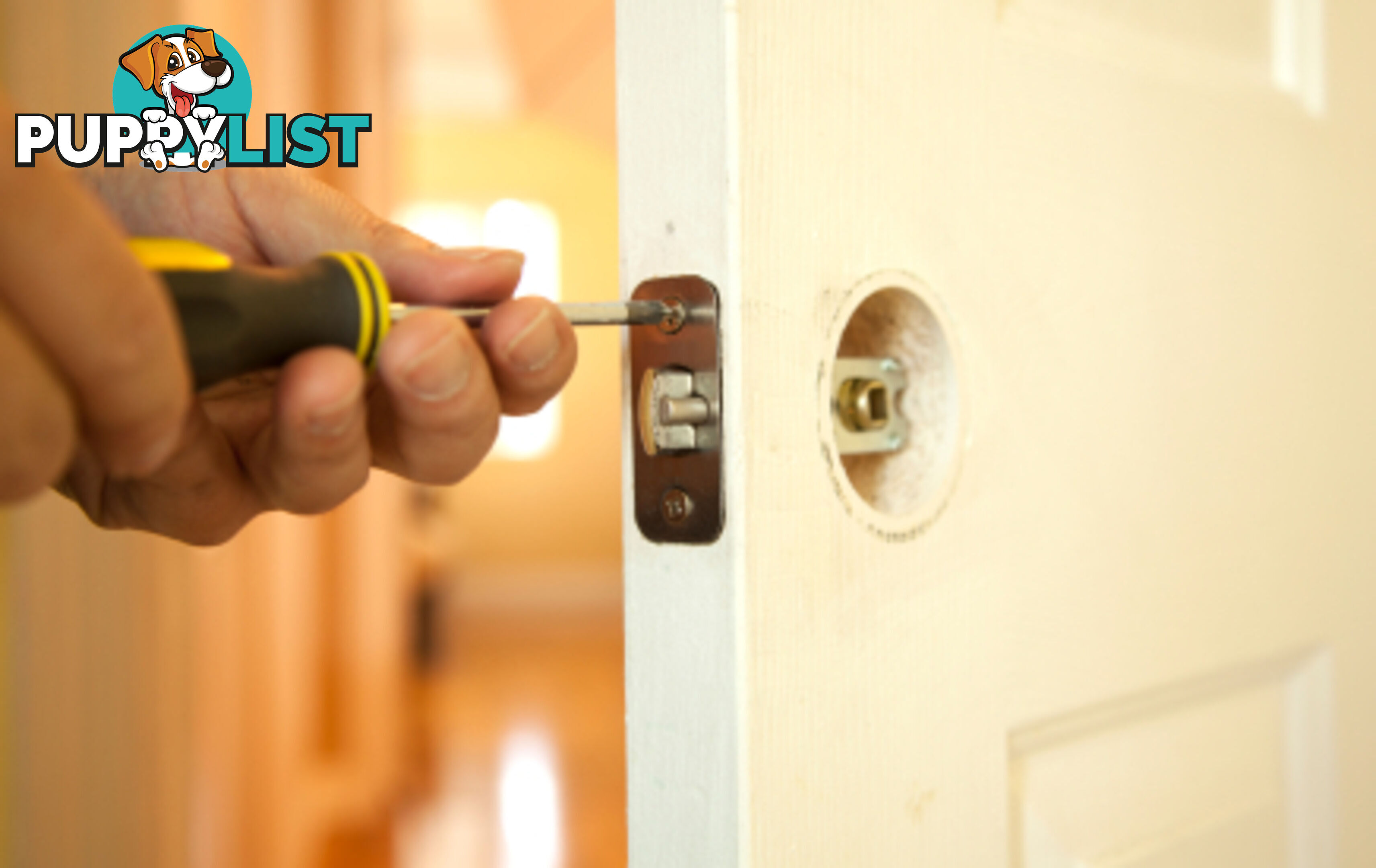 That Handyman 