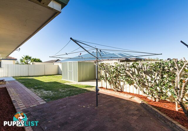 67 Lauterbach Drive GOSNELLS WA 6110