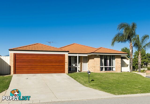 67 Lauterbach Drive GOSNELLS WA 6110