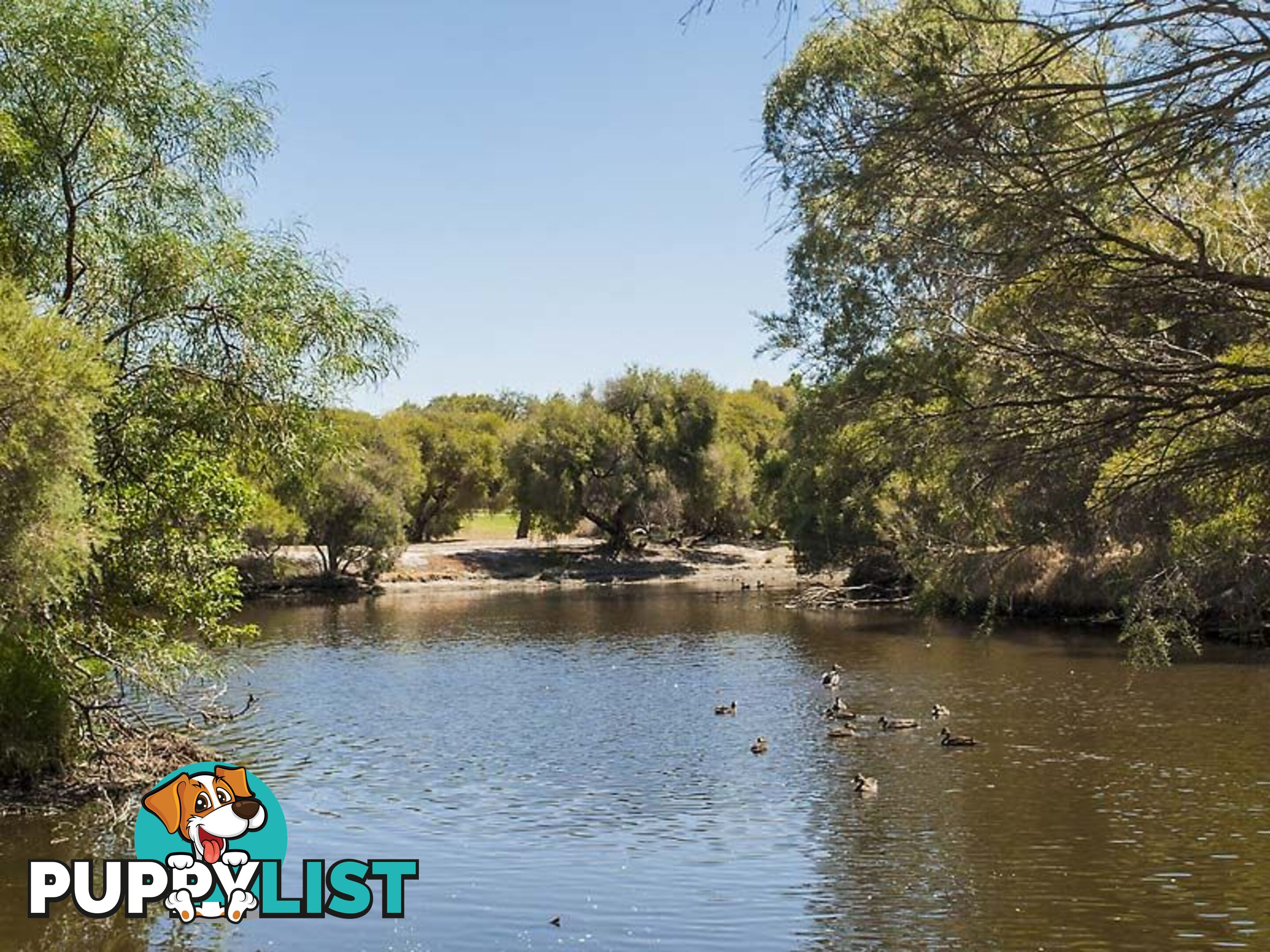 19A Nullagine Way GOSNELLS WA 6110