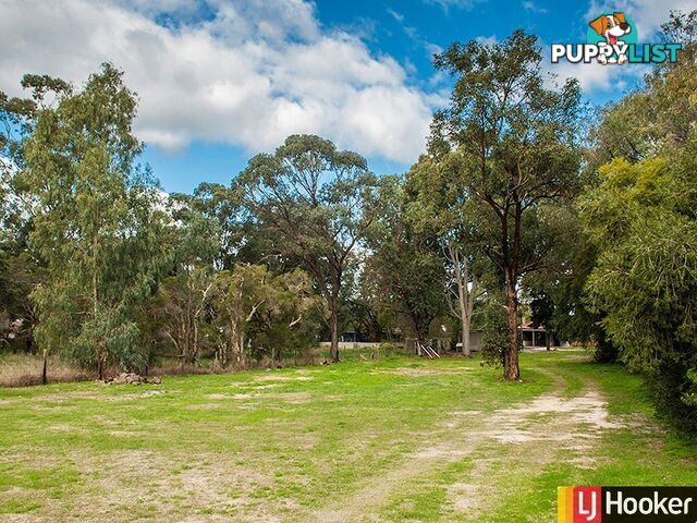 59 Eileen Street GOSNELLS WA 6110