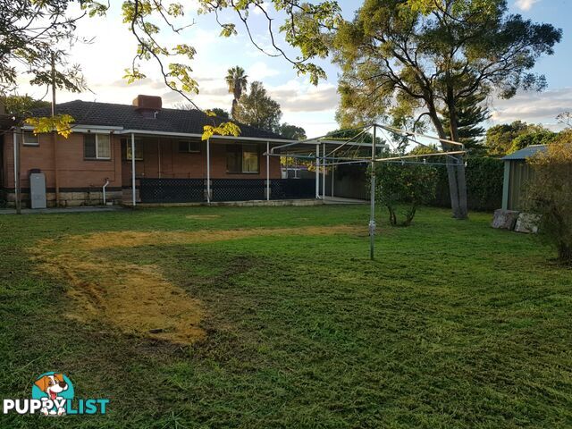 16 Ilma St GOSNELLS WA 6110