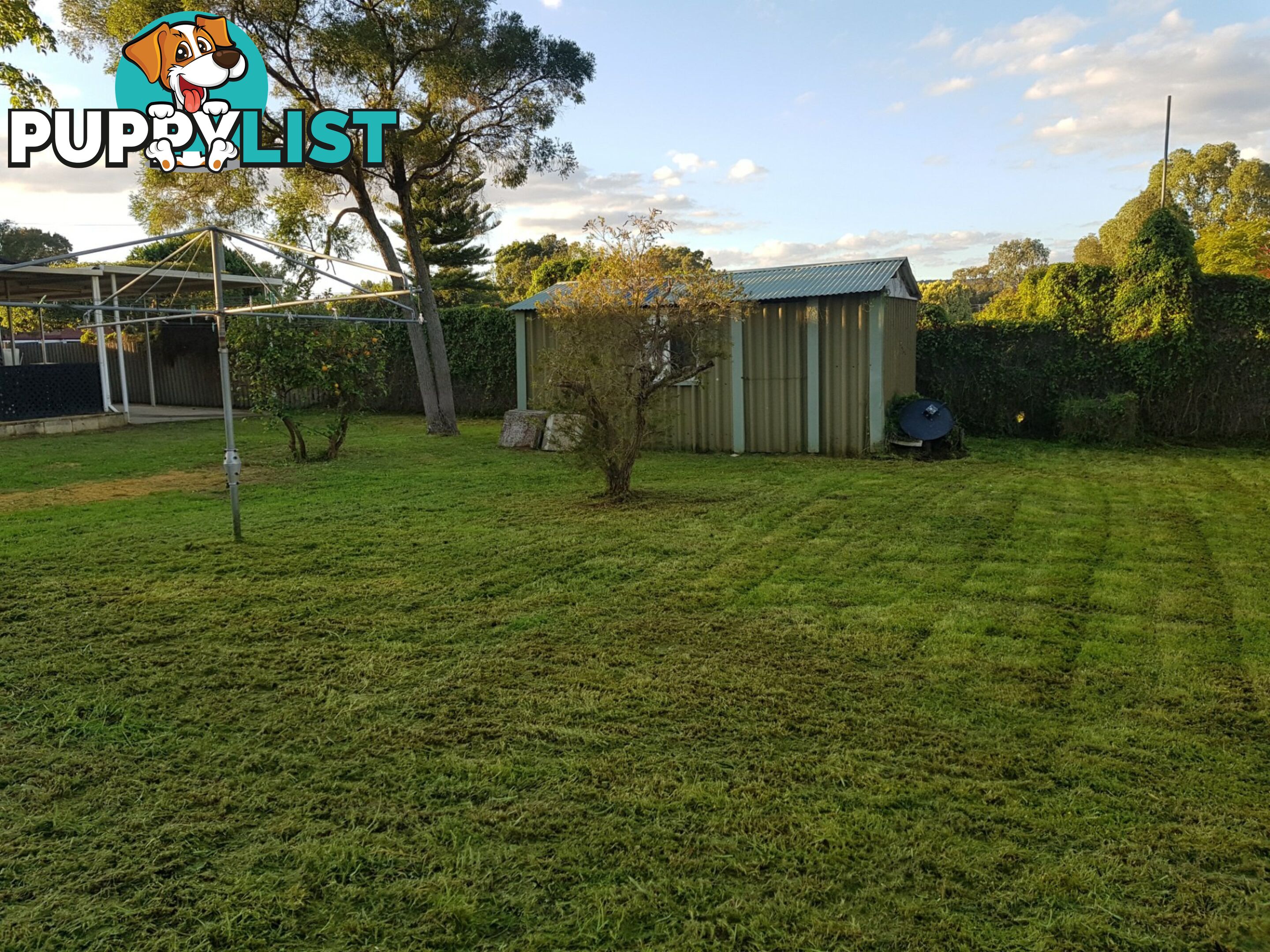 16 Ilma St GOSNELLS WA 6110