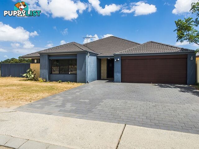 16 Thomson Way GOSNELLS WA 6110