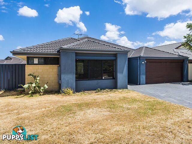 16 Thomson Way GOSNELLS WA 6110