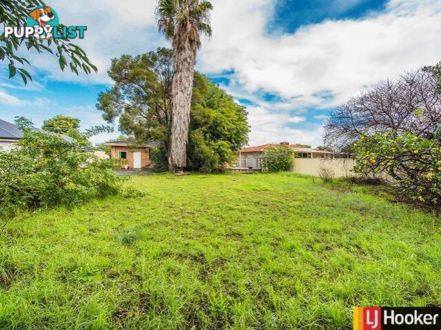 8 Belyea Street GOSNELLS WA 6110