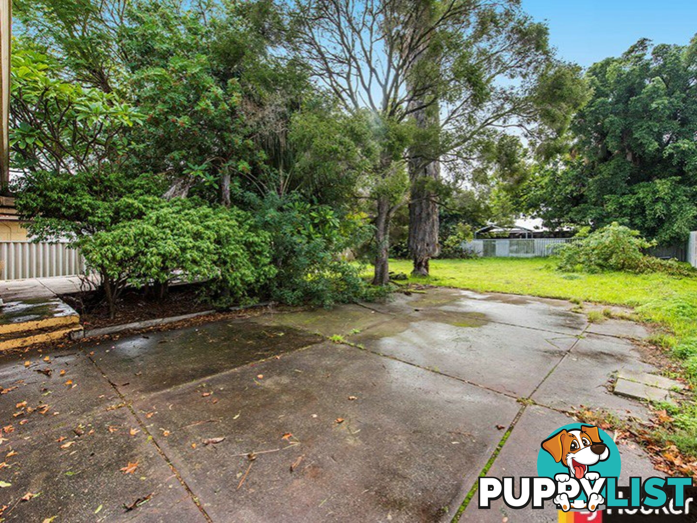 8 Belyea Street GOSNELLS WA 6110