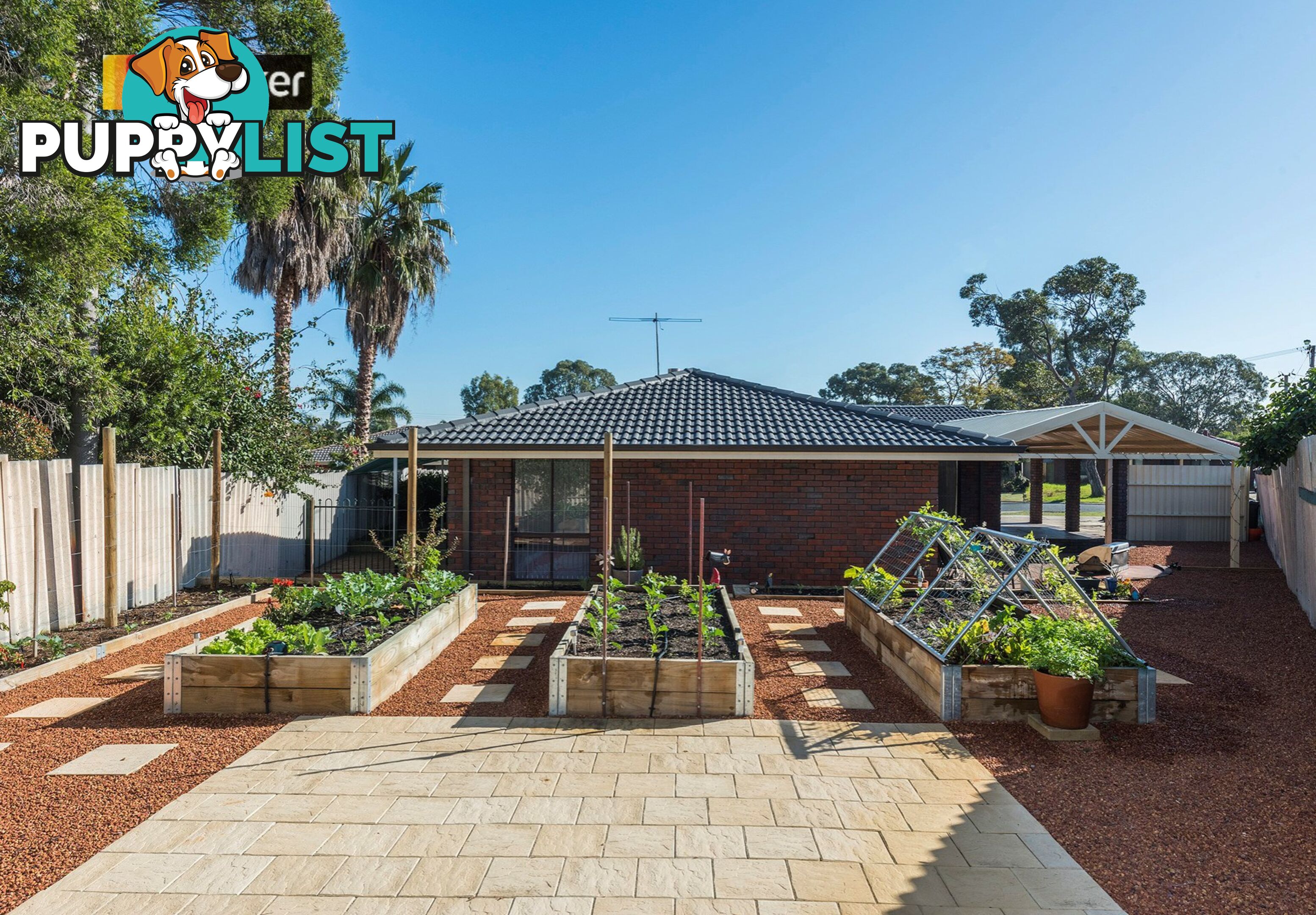 10 Rudall Close GOSNELLS WA 6110