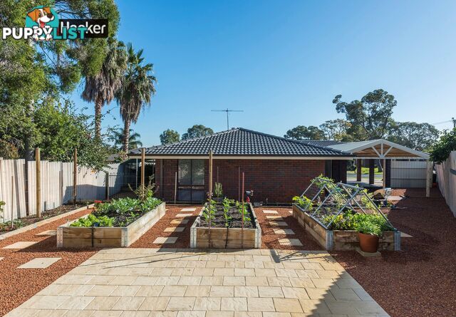 10 Rudall Close GOSNELLS WA 6110