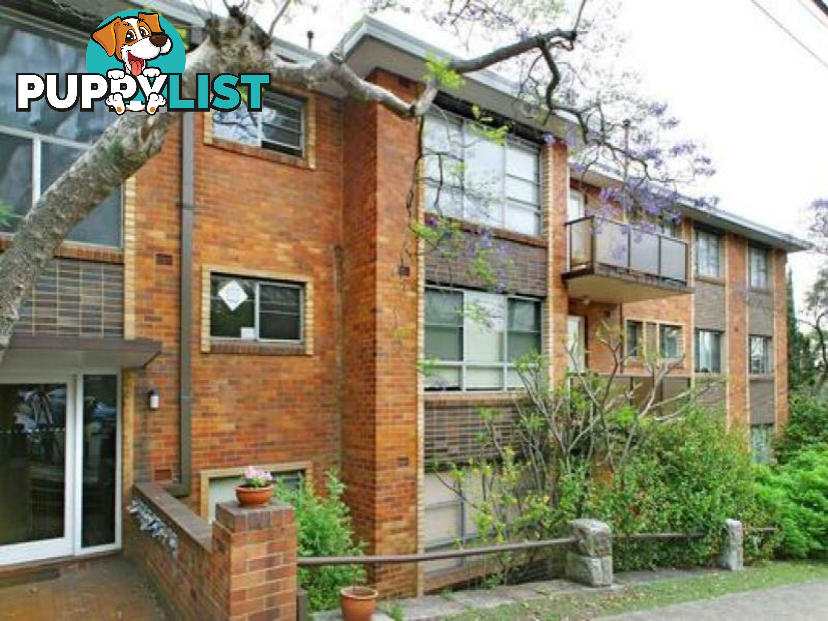 Apartment 8/49 Bellevue Avenue GREENWICH NSW 2065