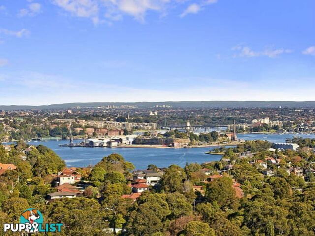 Apartment 8/49 Bellevue Avenue GREENWICH NSW 2065