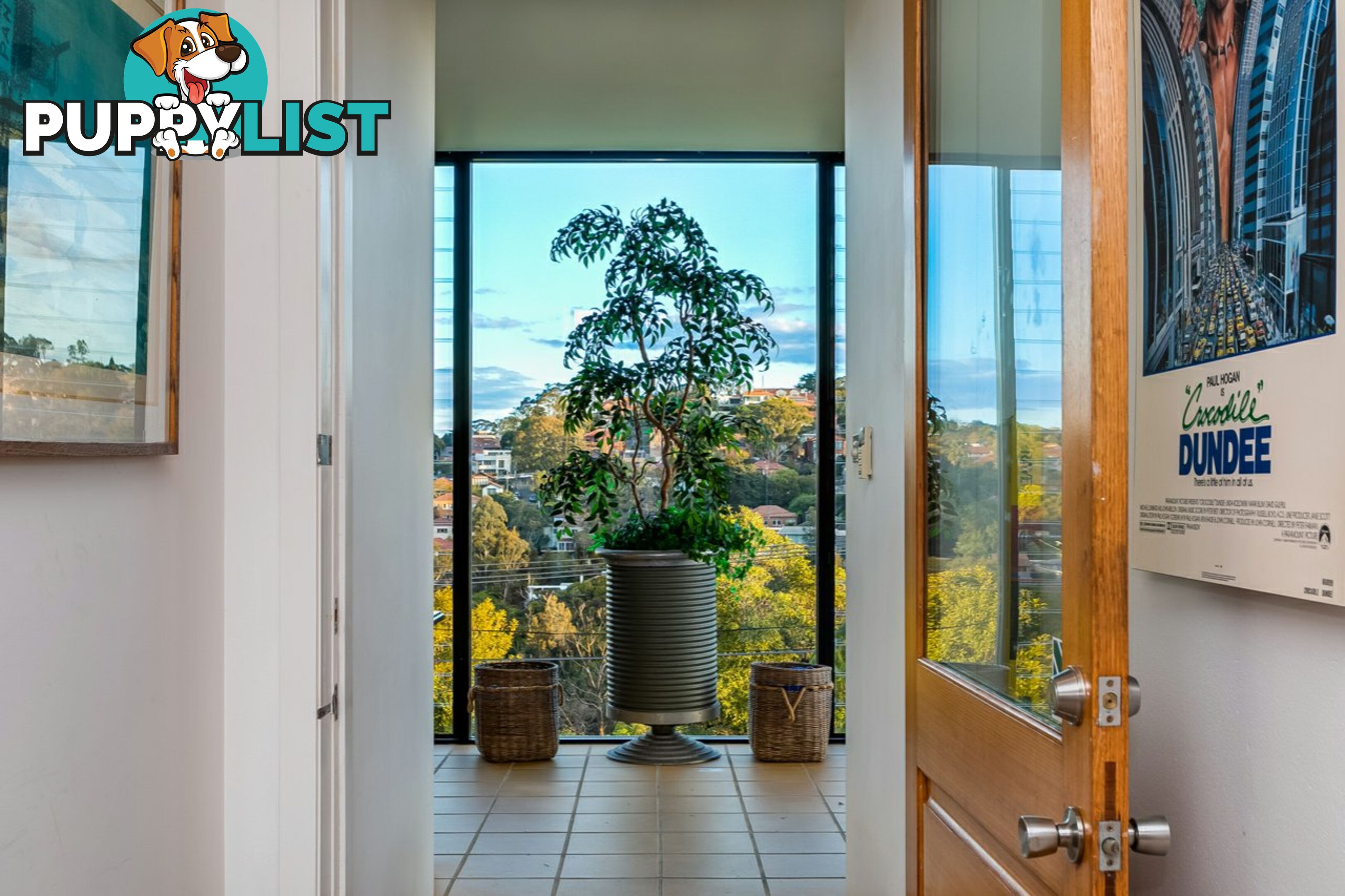 17 Upper Cliff NORTHBRIDGE NSW 2063