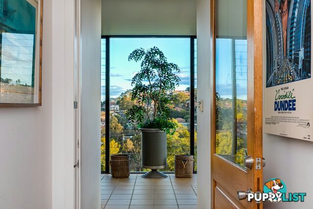 17 Upper Cliff NORTHBRIDGE NSW 2063