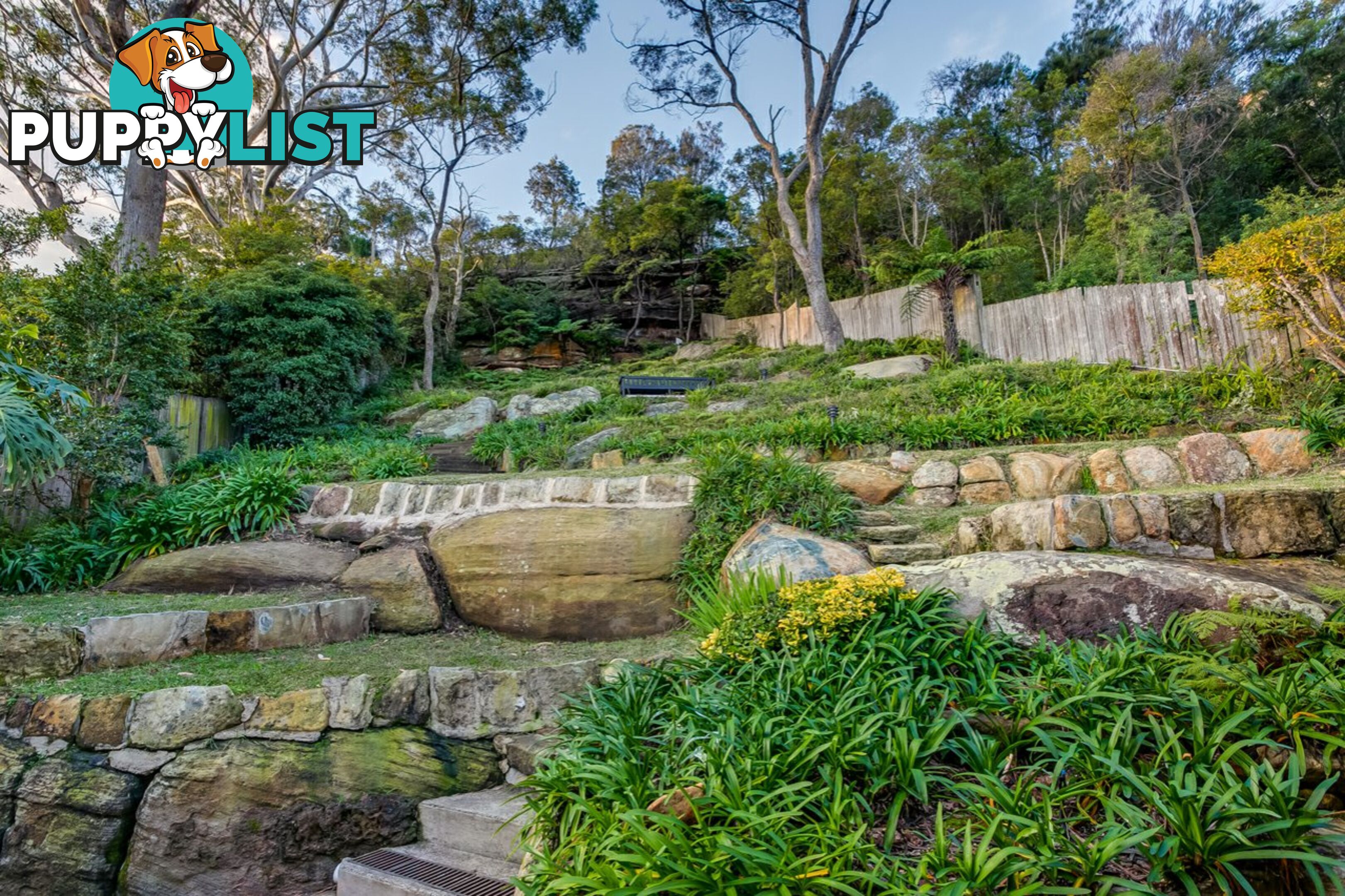 17 Upper Cliff NORTHBRIDGE NSW 2063