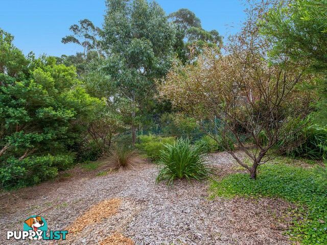 27 a Walter Street WILLOUGHBY NSW 2068