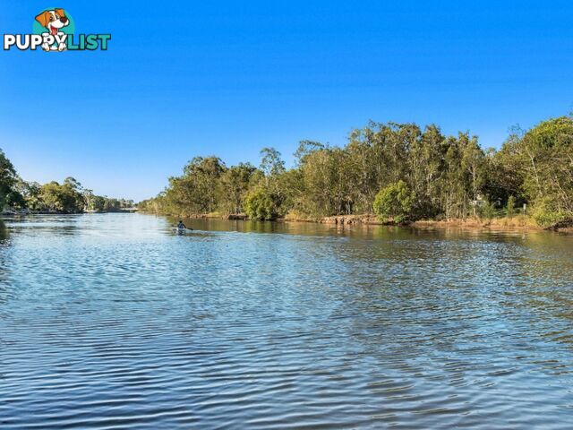 12 Tassel Place TWIN WATERS QLD 4564