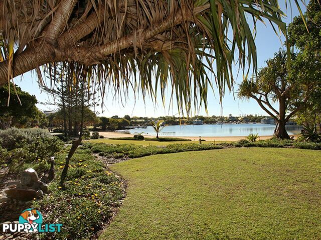 46/80 North Shore Road TWIN WATERS QLD 4564