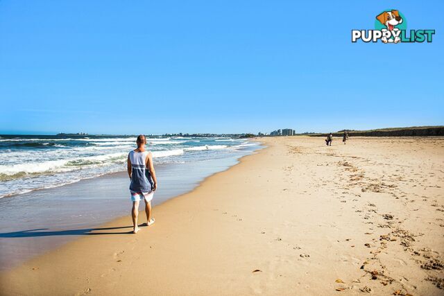 6/270 Ocean Drive TWIN WATERS QLD 4564