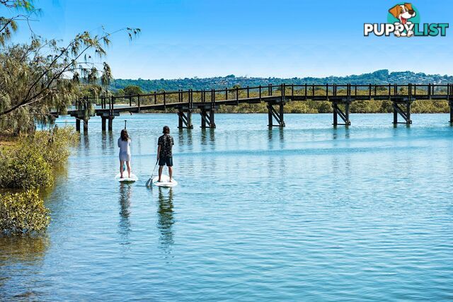 55 Baywater Drive TWIN WATERS QLD 4564