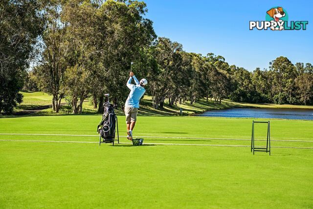 36 Prestwick Drive TWIN WATERS QLD 4564