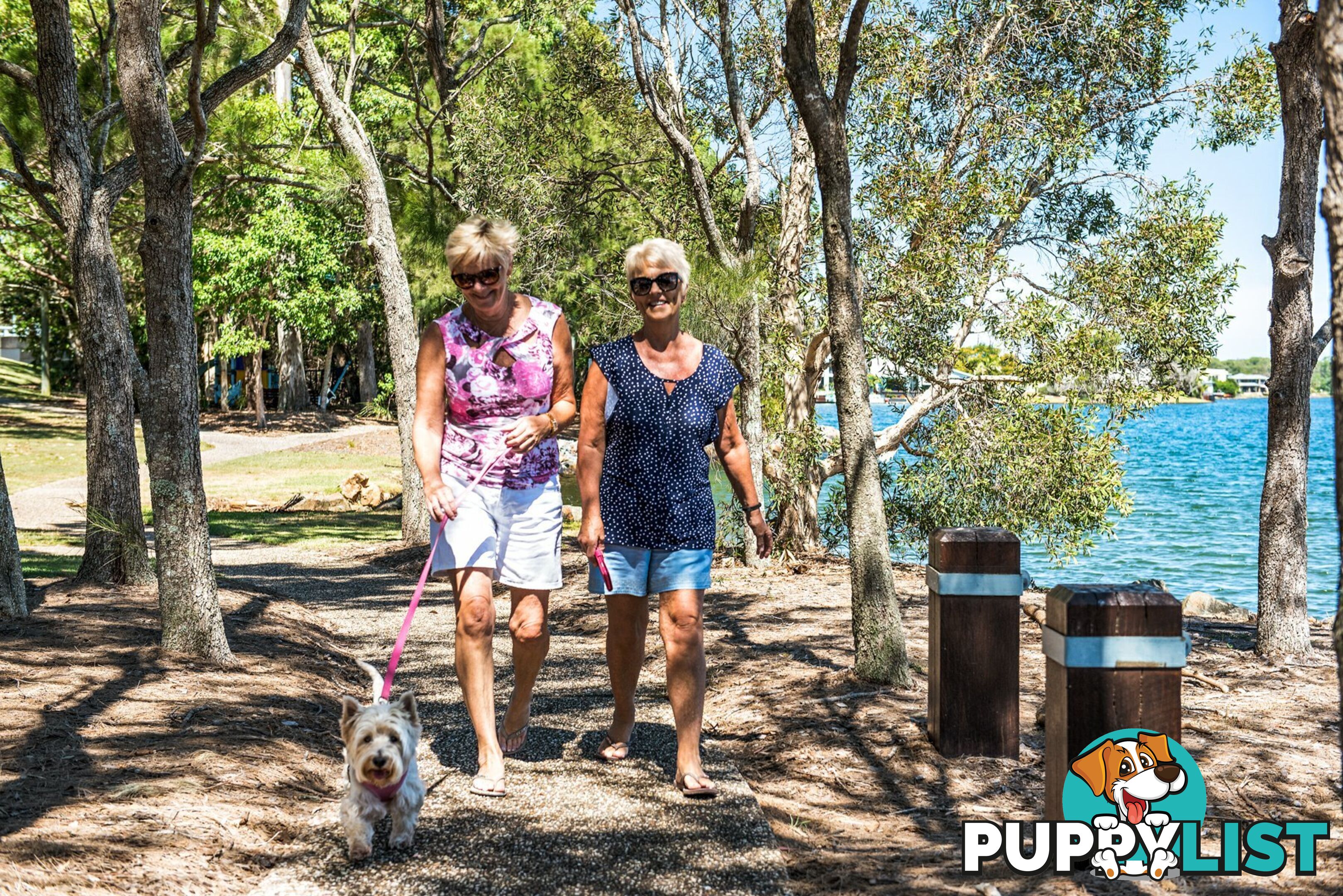 36 Prestwick Drive TWIN WATERS QLD 4564