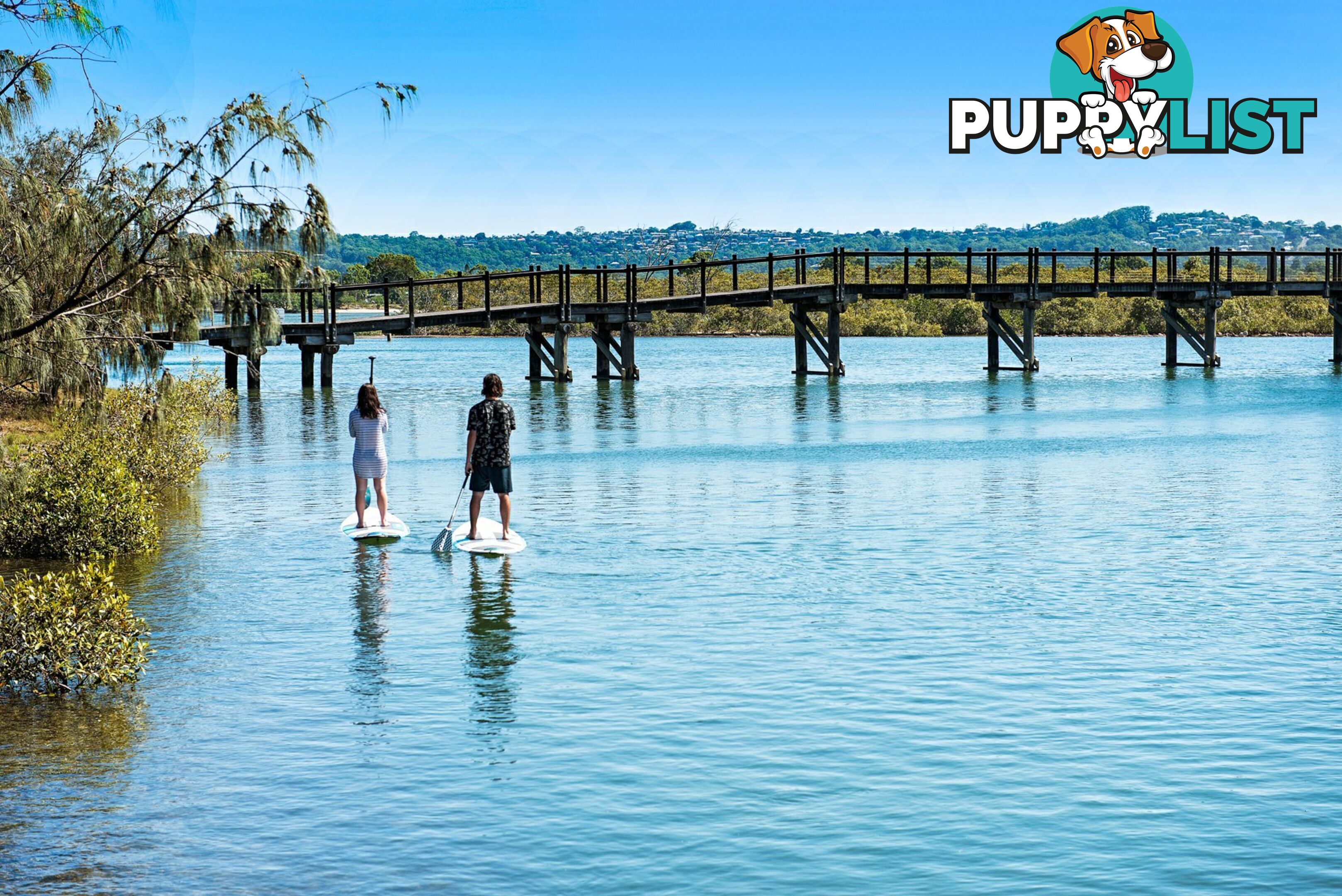 36 Prestwick Drive TWIN WATERS QLD 4564