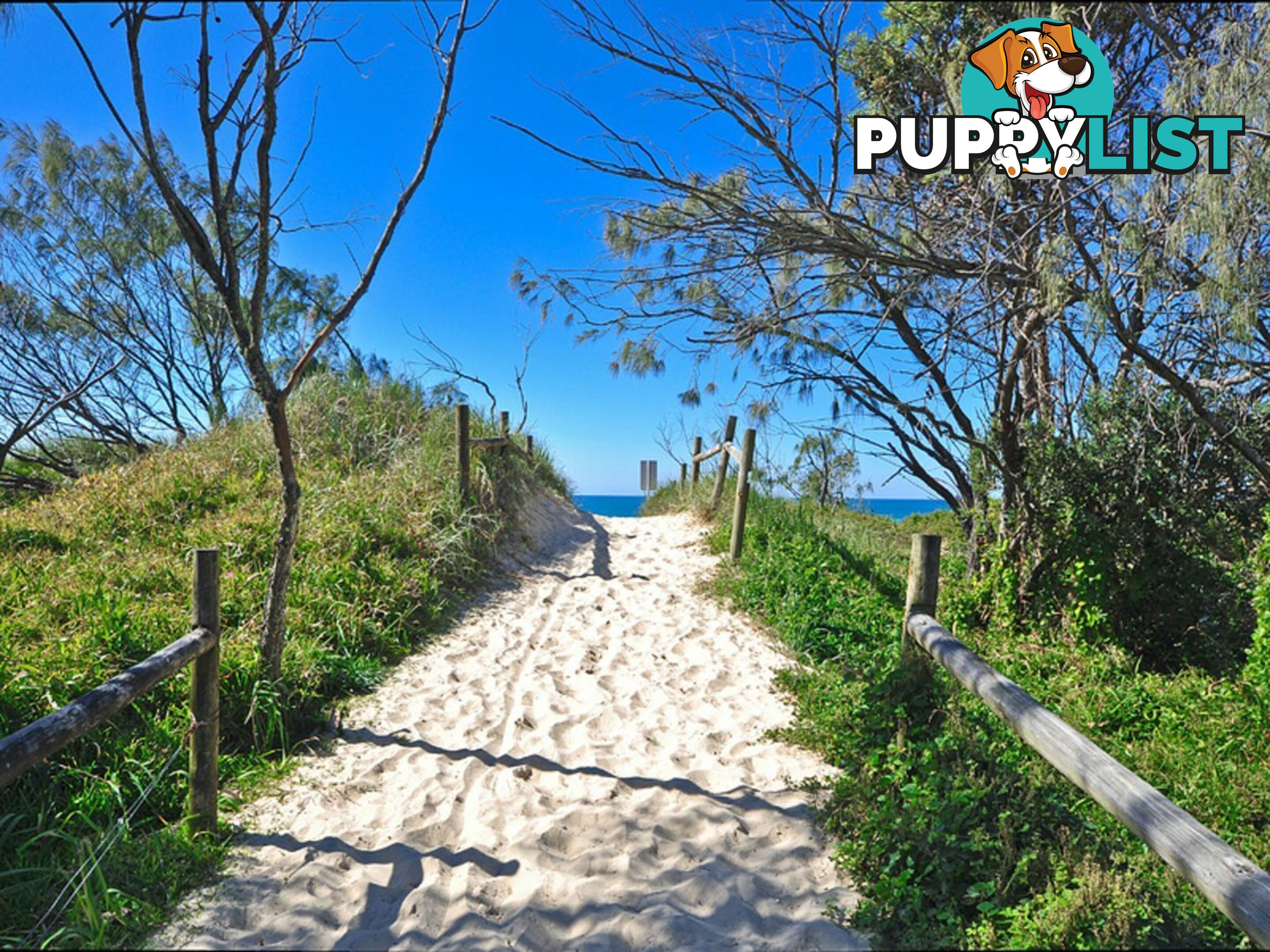 10 Estuary Court TWIN WATERS QLD 4564