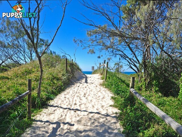 10 Estuary Court TWIN WATERS QLD 4564
