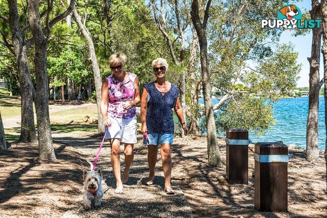 10 Estuary Court TWIN WATERS QLD 4564
