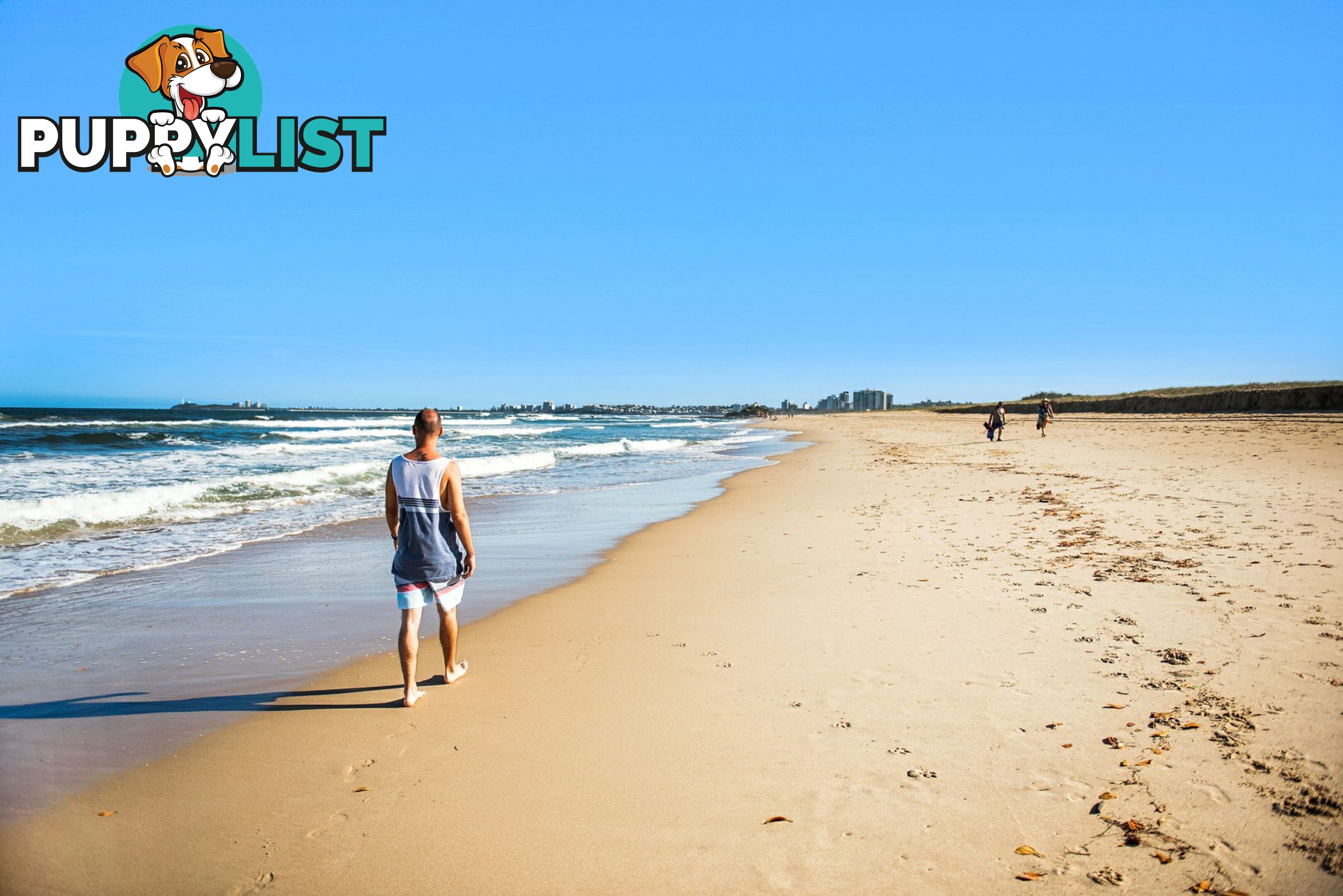10 Estuary Court TWIN WATERS QLD 4564