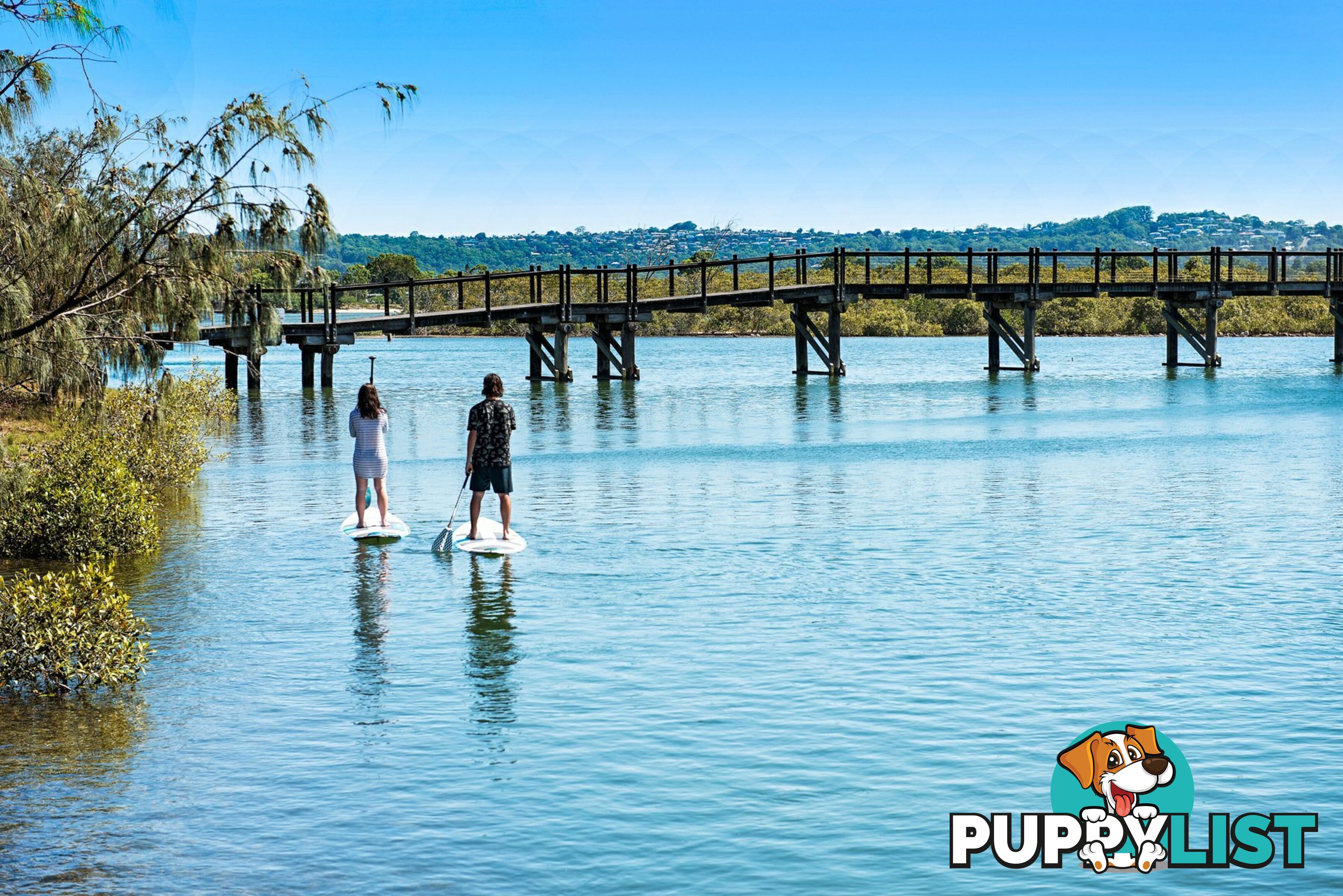 10 Estuary Court TWIN WATERS QLD 4564
