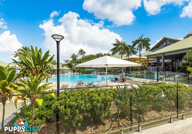 132/80 North Shore Road TWIN WATERS QLD 4564