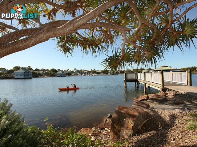 56/80 North Shore Road TWIN WATERS QLD 4564