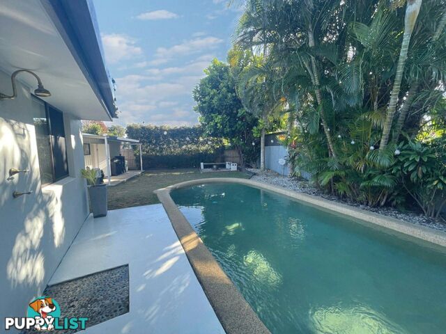 636 David Low Way PACIFIC PARADISE QLD 4564