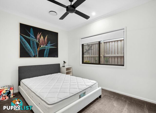 15 Butcherbird Crescent BLI BLI QLD 4560