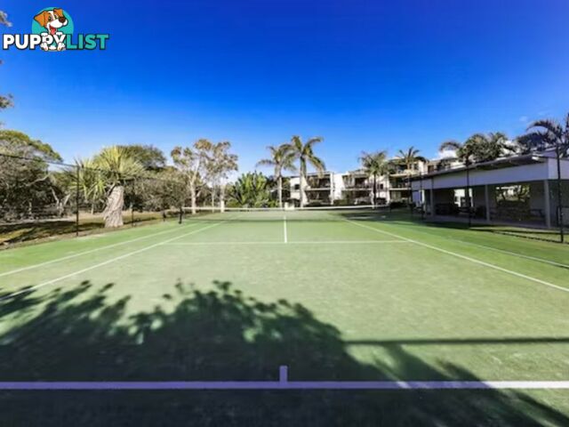 41/885 David Low Way MARCOOLA QLD 4564