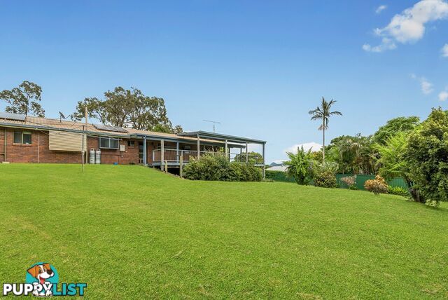 62 Old Gympie Road YANDINA QLD 4561