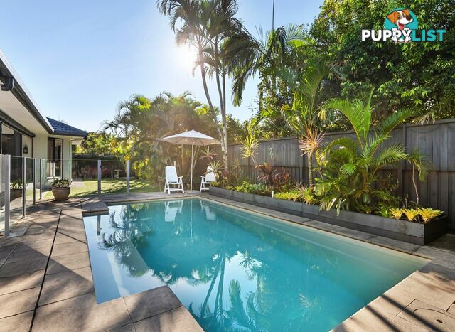 8 Fantail Place TWIN WATERS QLD 4564